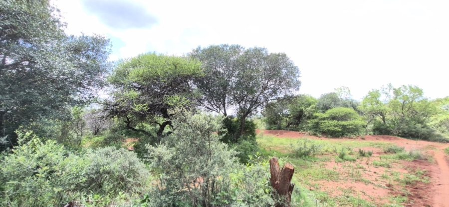 0 Bedroom Property for Sale in Koster North West